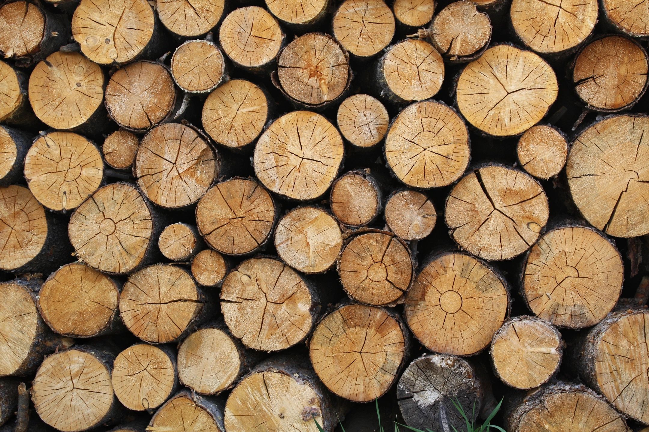 Wooden Logs