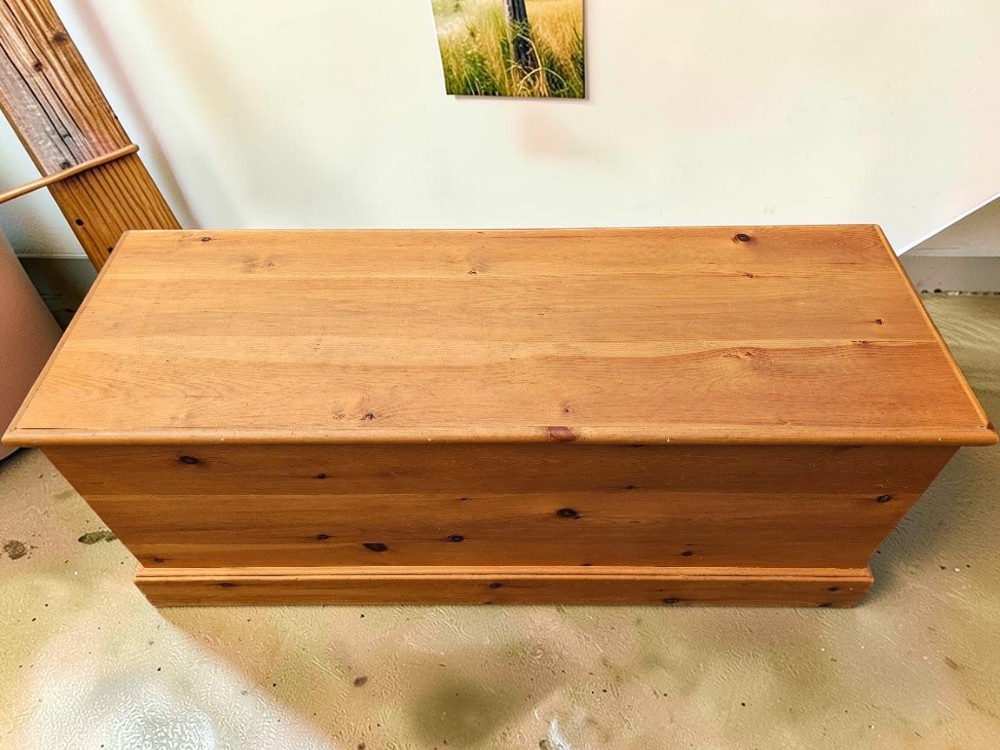 pinetrunk